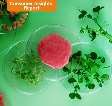 Consumer and Product Category Insights – Plant-based Meat Industry